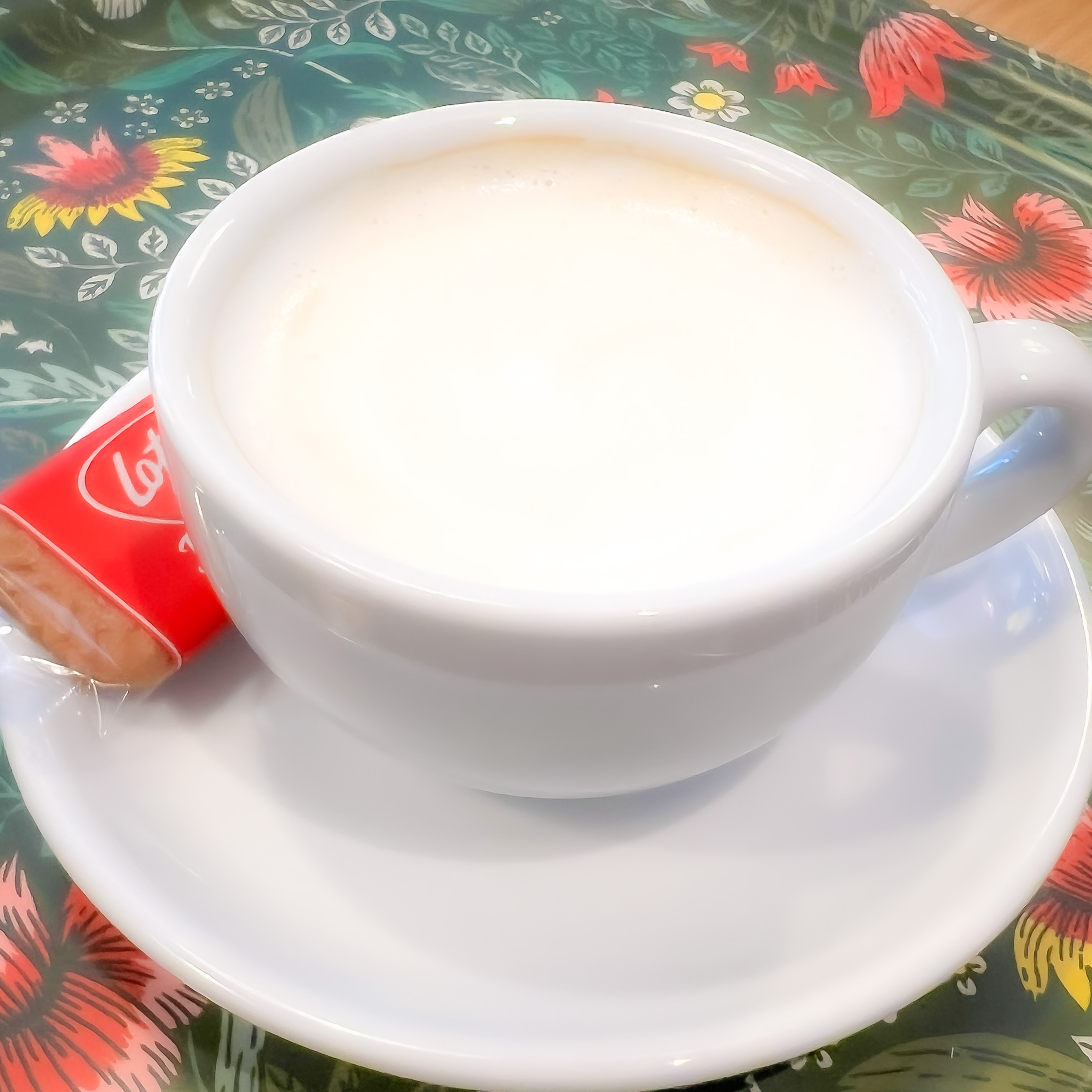 Milchkaffee, Bio Siegen